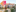 Störer Hanover Thumbnail 1